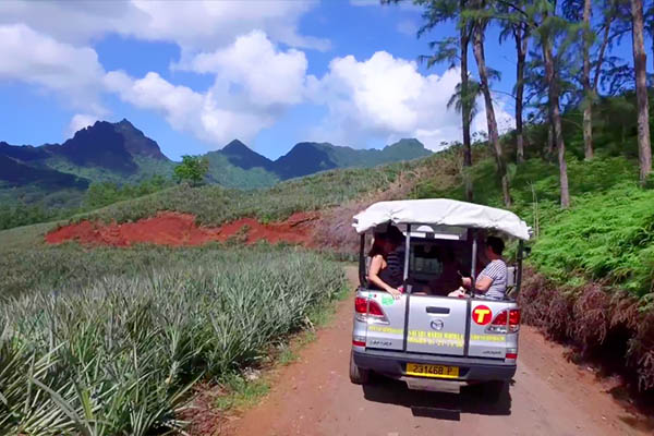 Moorea Tour 4x4