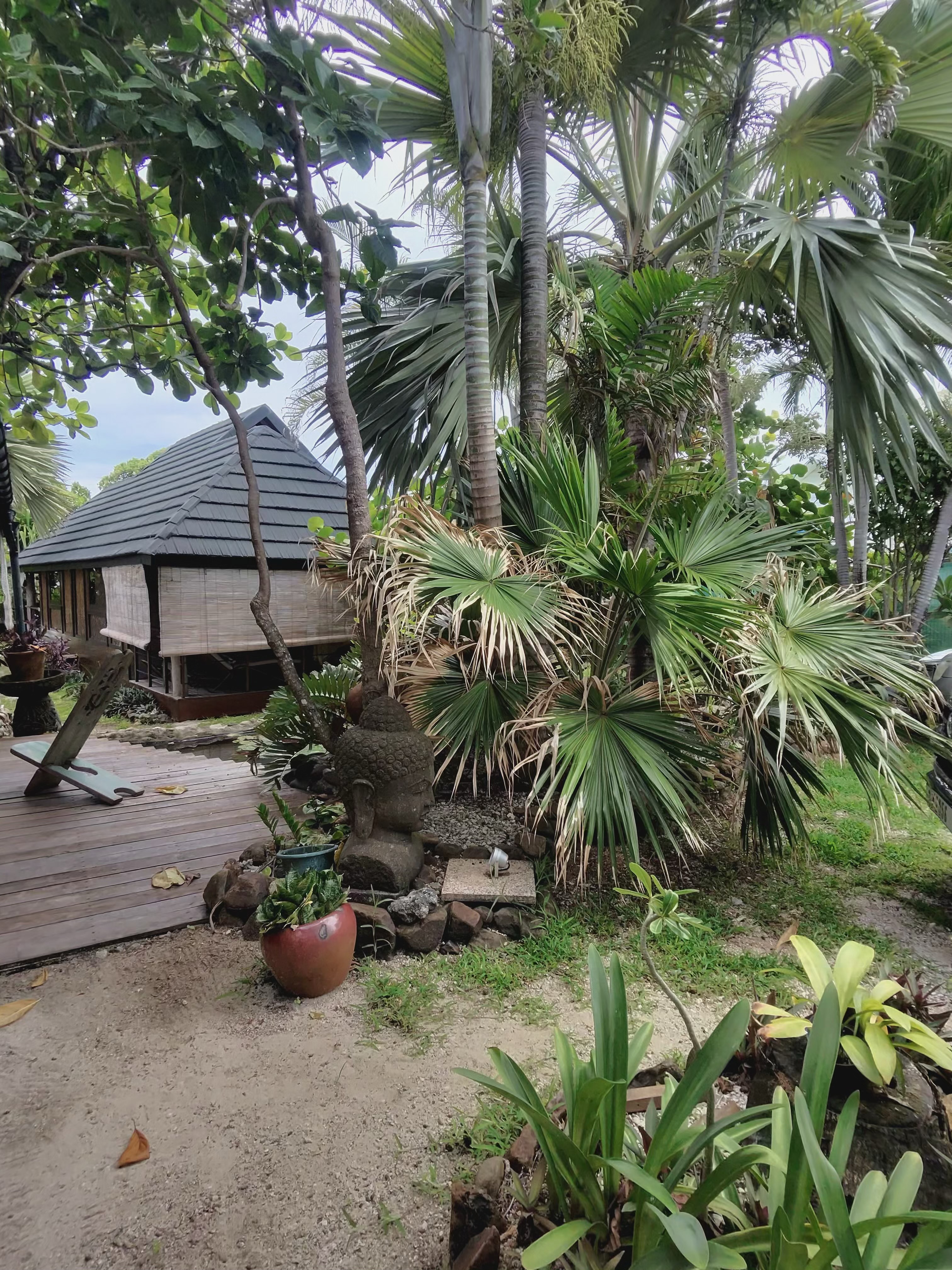 Our Story - Green Lodge Moorea